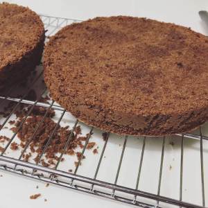 Chocolate sponge cake